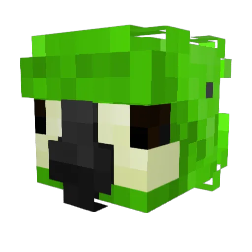 Star22gp Minecraft avatar head, 3D render