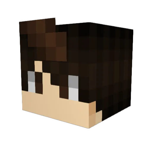 Star2_0 Minecraft avatar head, 3D render