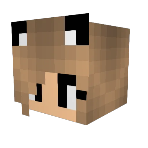 Star4Sky Minecraft avatar head, 3D render