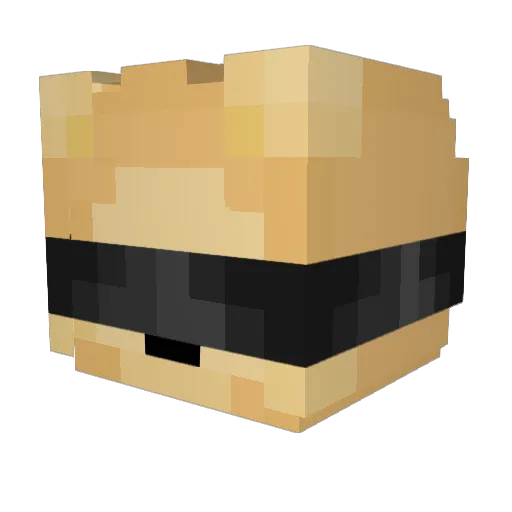 StarAirplane883 Minecraft avatar head, 3D render