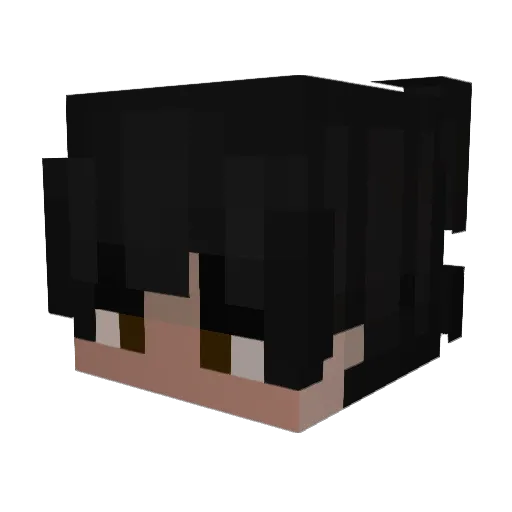 StarBack11 Minecraft avatar head, 3D render