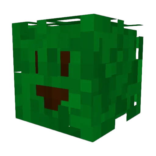 StarBlizzardStar Minecraft avatar head, 3D render