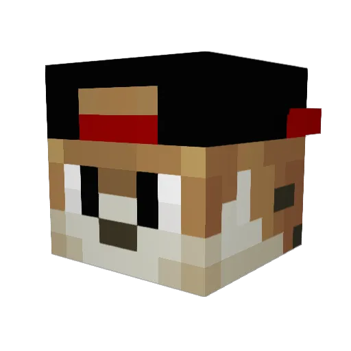 StarBuckIsMyLife Minecraft avatar head, 3D render