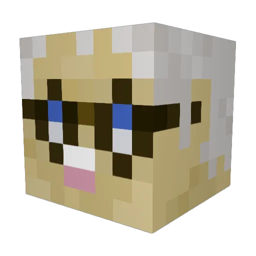 StarCaster8281 Minecraft avatar head, 3D render