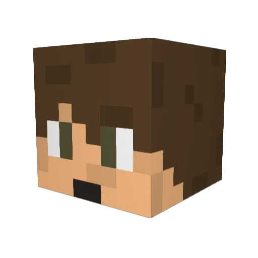 StarCastic Minecraft avatar head, 3D render