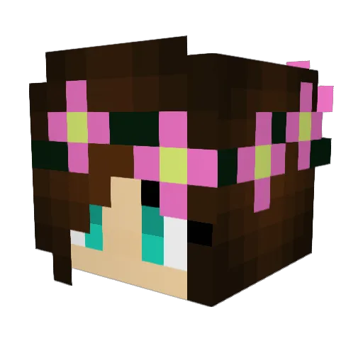 StarCat14 Minecraft avatar head, 3D render