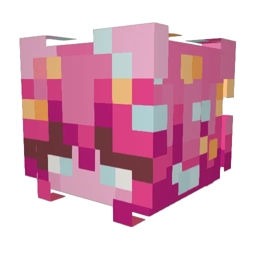 StarChiliZ_ Minecraft avatar head, 3D render