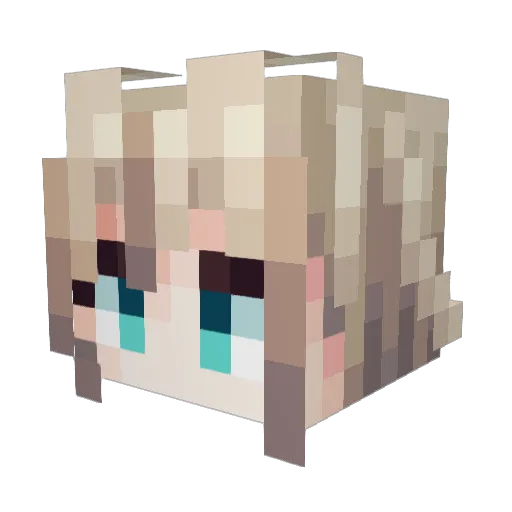 StarDust_My Minecraft avatar head, 3D render