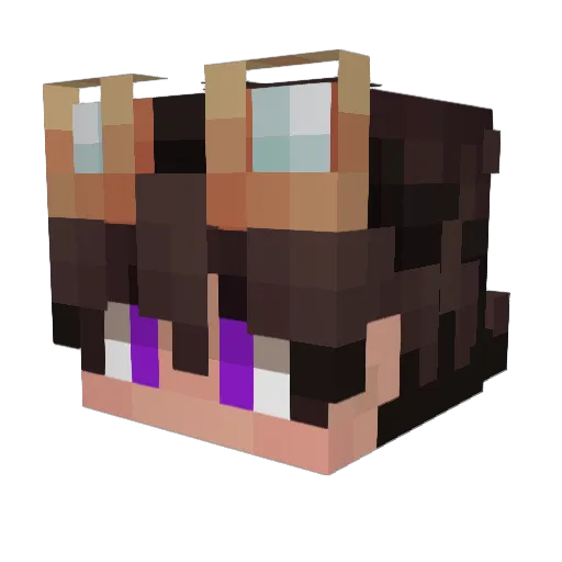 StarEverbright Minecraft avatar head, 3D render