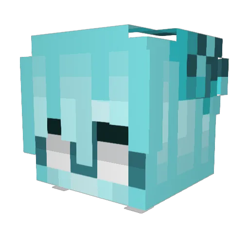 StarFallTides Minecraft avatar head, 3D render