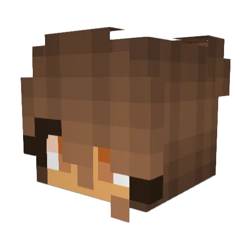 StarFighter1000 Minecraft avatar head, 3D render