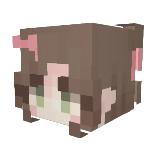 StarFire235 Minecraft avatar head, 3D render