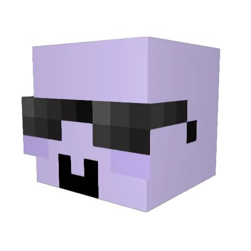 StarFlixx Minecraft avatar head, 3D render