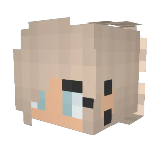 StarFox670 Minecraft avatar head, 3D render
