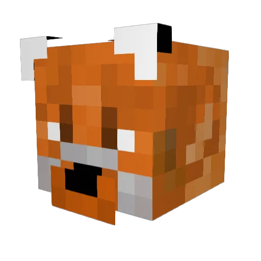 StarFox691 Minecraft avatar head, 3D render