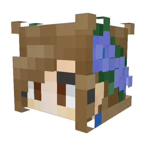 StarFrewts Minecraft avatar head, 3D render