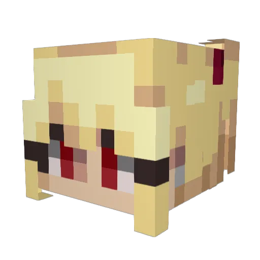 StarG1rl00 Minecraft avatar head, 3D render