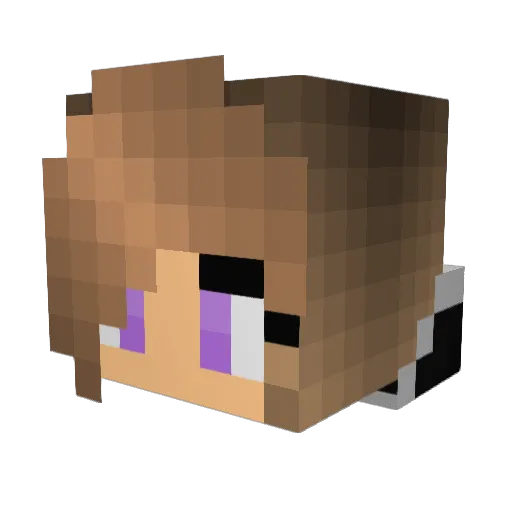 StarGamer2422 Minecraft avatar head, 3D render