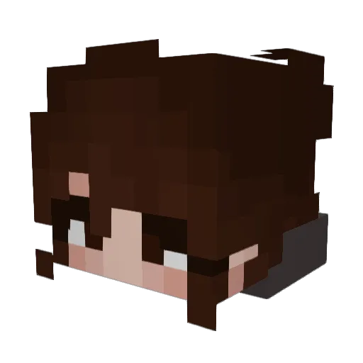 StarGirl961 Minecraft avatar head, 3D render