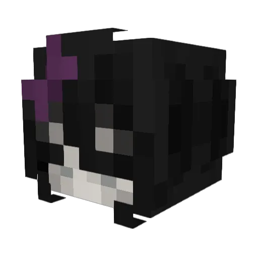 StarGlazer__ Minecraft avatar head, 3D render
