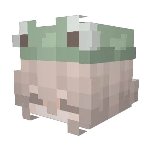 StarJelz Minecraft avatar head, 3D render