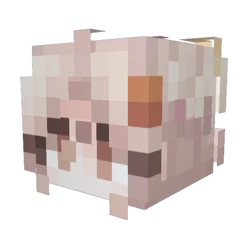 StarKirby343 Minecraft avatar head, 3D render