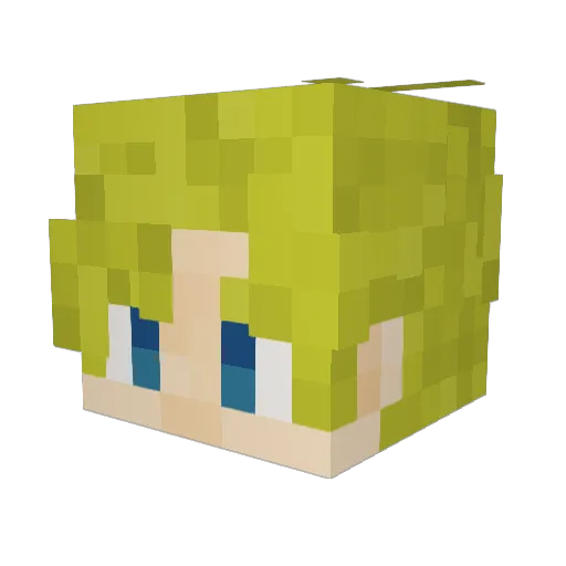 StarKnight1331 Minecraft avatar head, 3D render
