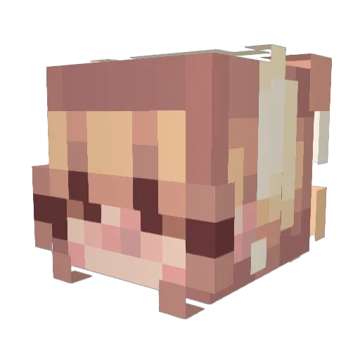 StarLight24th Minecraft avatar head, 3D render