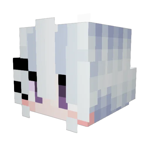 StarLights_ZX Minecraft avatar head, 3D render