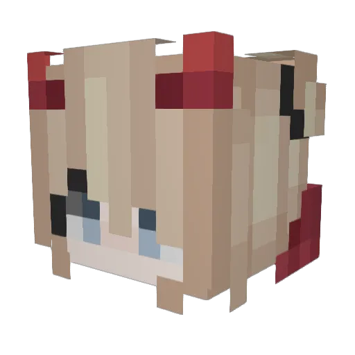 StarLottus Minecraft avatar head, 3D render