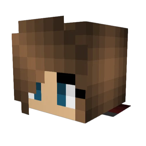 StarMac1011 Minecraft avatar head, 3D render