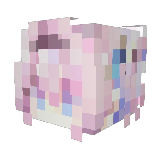 StarN8ght Minecraft avatar head, 3D render