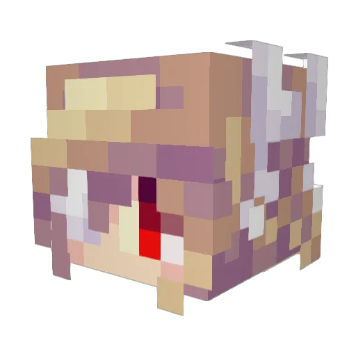 StarNight139 Minecraft avatar head, 3D render