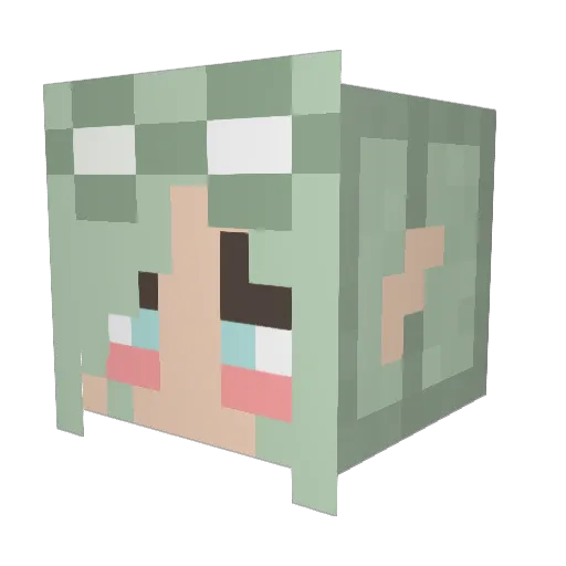 StarNight21 Minecraft avatar head, 3D render