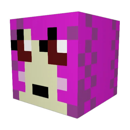 StarNightSong Minecraft avatar head, 3D render