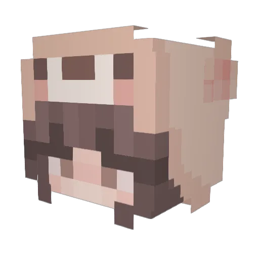 StarPhaser Minecraft avatar head, 3D render