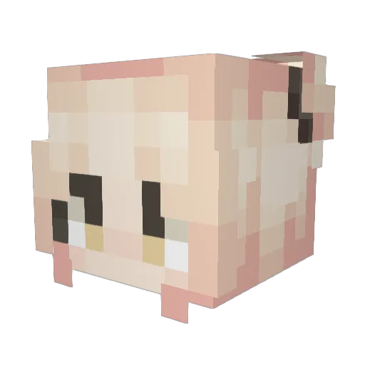 StarRae Minecraft avatar head, 3D render