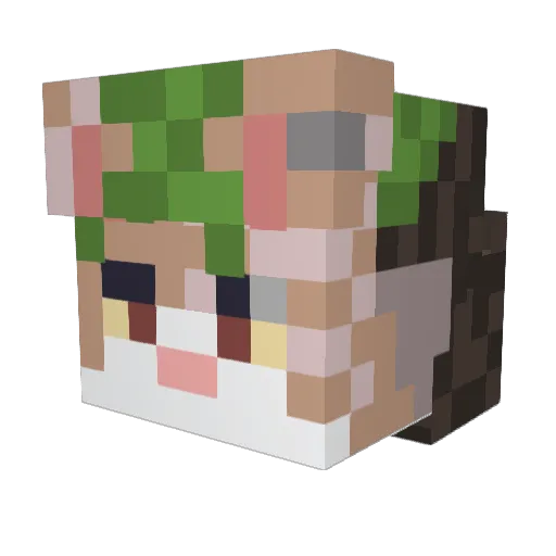 StarRaizer Minecraft avatar head, 3D render