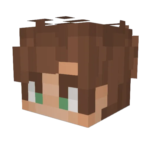 StarSabersGaming Minecraft avatar head, 3D render