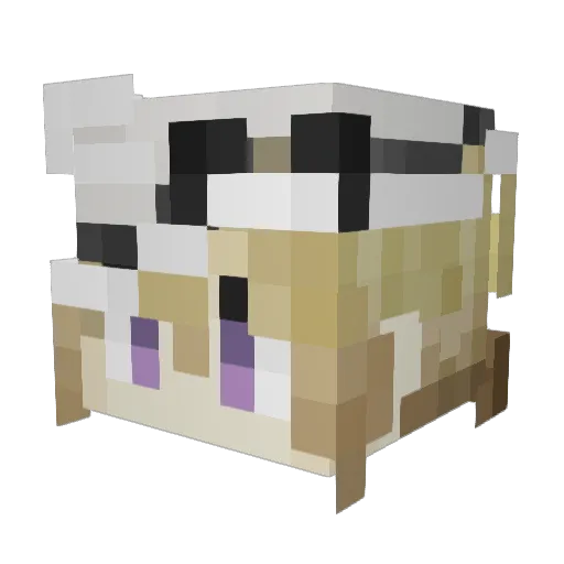 StarScottCOS Minecraft avatar head, 3D render