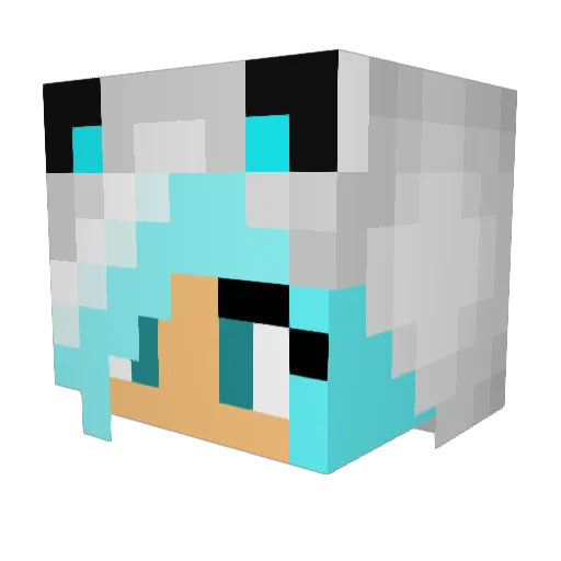 StarShine1010 Minecraft avatar head, 3D render