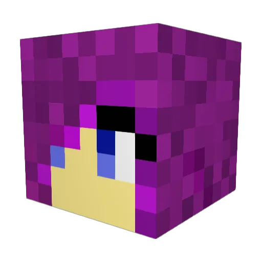 StarShooter3000 Minecraft avatar head, 3D render