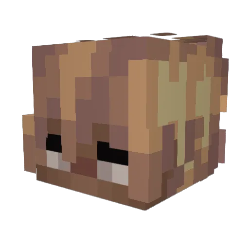 StarShrine Minecraft avatar head, 3D render