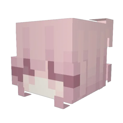 StarStory1 Minecraft avatar head, 3D render
