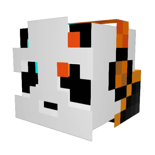 StarTakko Minecraft avatar head, 3D render