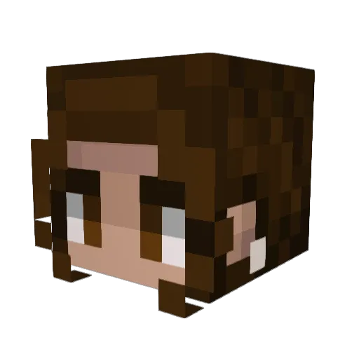 StarTeam Minecraft avatar head, 3D render