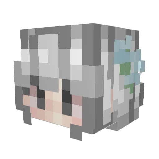 StarTheOverseer Minecraft avatar head, 3D render