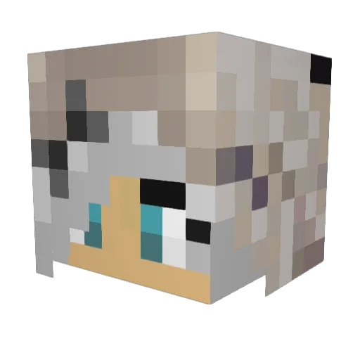 StarTimberWolf Minecraft avatar head, 3D render