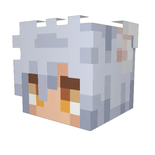 StarTrader Minecraft avatar head, 3D render