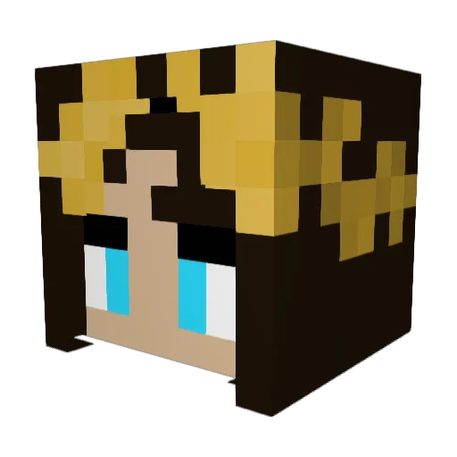 StarWarrior1221 Minecraft avatar head, 3D render